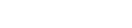 StatisNostics Logo